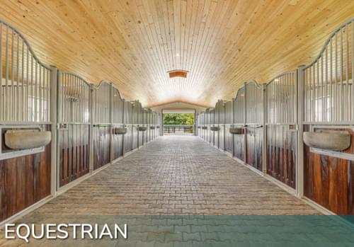 equestrian